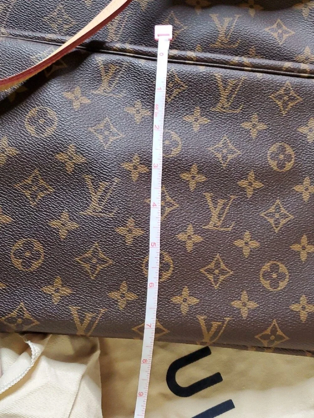 Louis Vuitton iconic louis